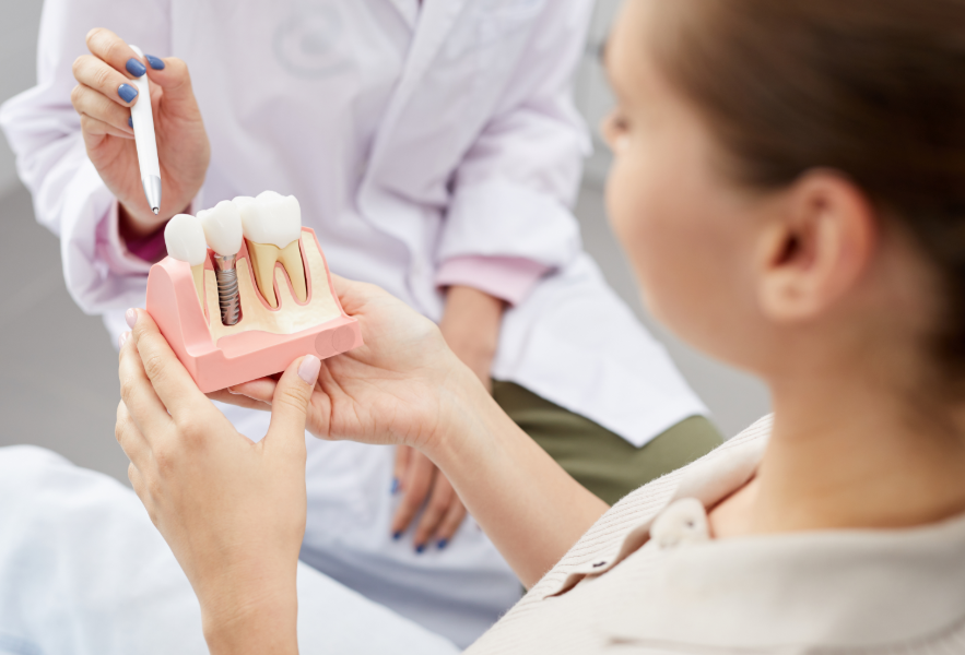 Dentist showing patient model dental implant